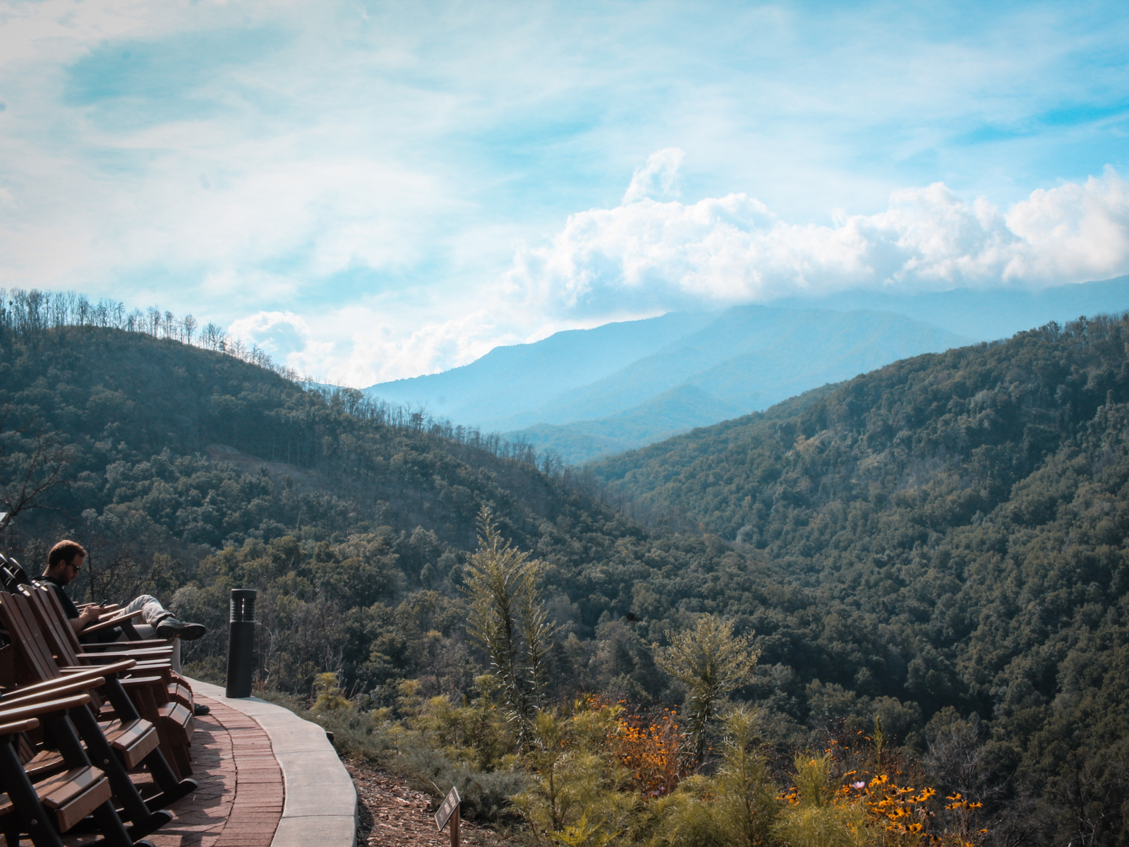 a man using his phone with a beautiful overlooking view of trees and mountains from anakeesta mountain top theme park, one of the best things to do in gatlinburg, tennessee