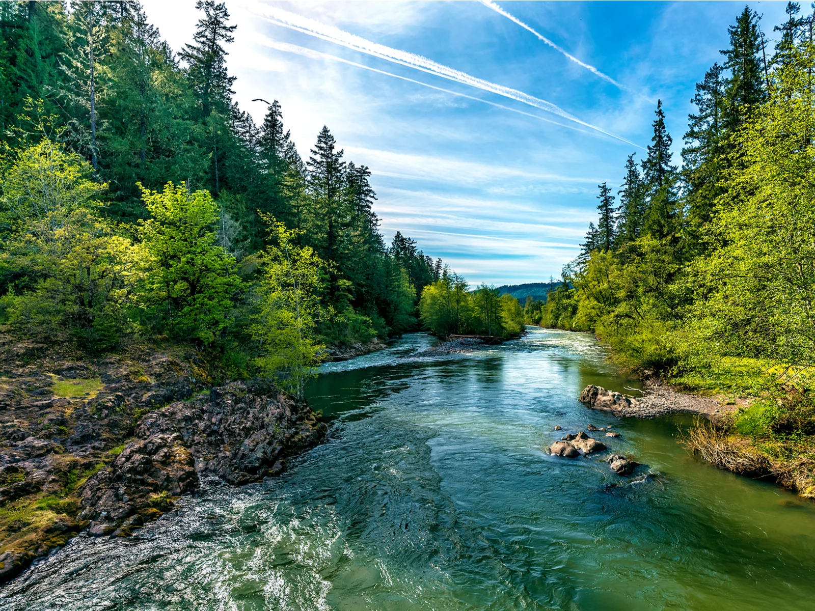 Bright blue river flowing through a forest during the best time to visit Oregon