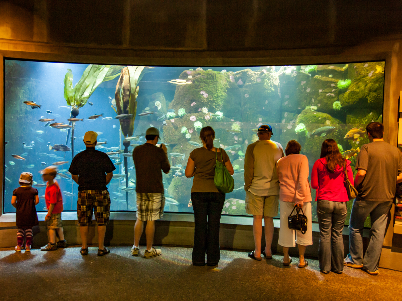 Image of a bunch of folks standing in front of one of the best aquariums in the US