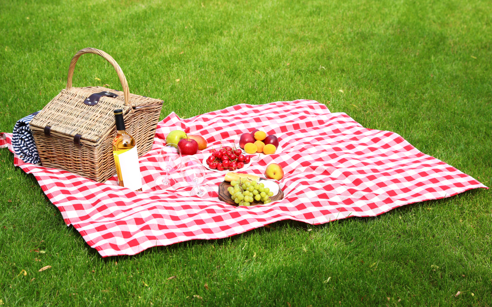 Picnic basket and fruit and wine on one of the best picnic blankets that is spread out on freshly mowed grass