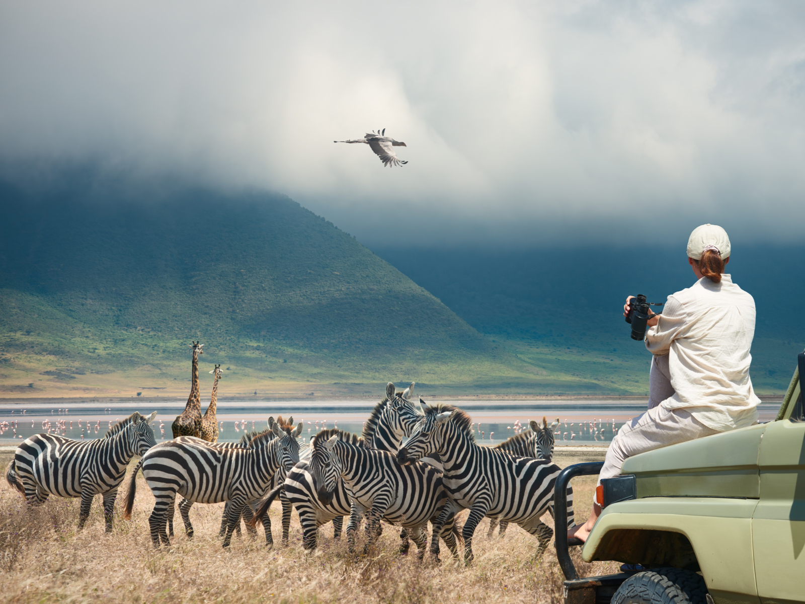 to help answer the question Is Tanzania Safe, a woman sitting on the hood of an SUV pictured in front of zebras