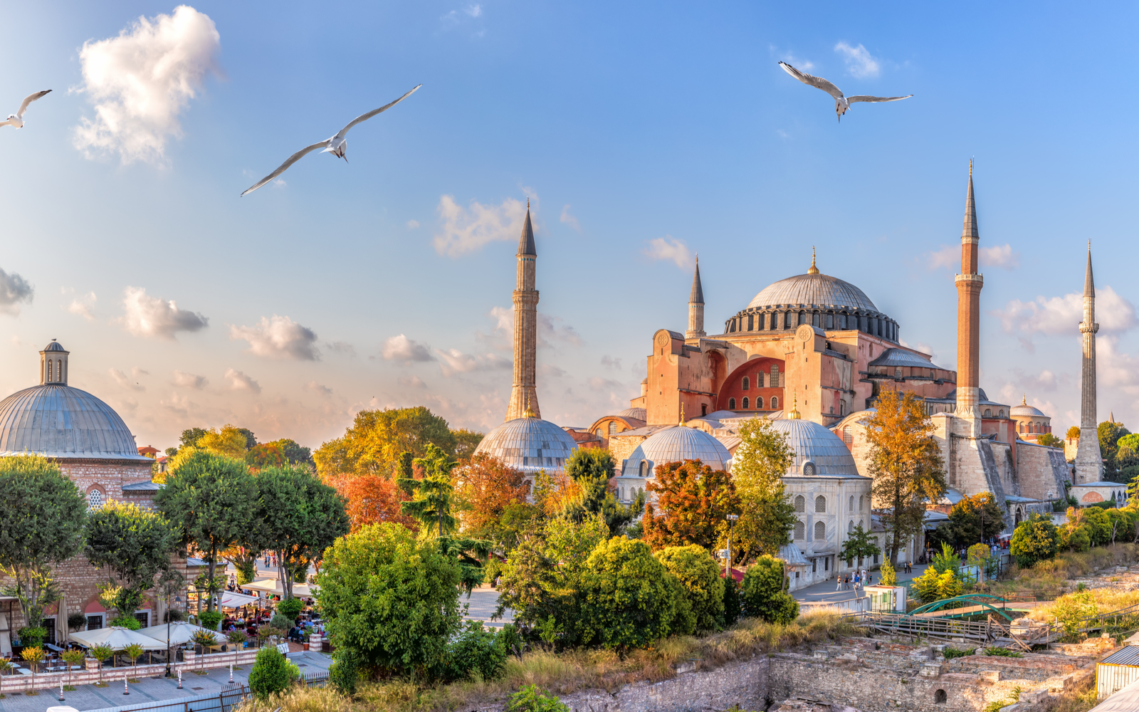Gorgeous view of birds flying over the Hagia Sophia during the best time to visit Turkey