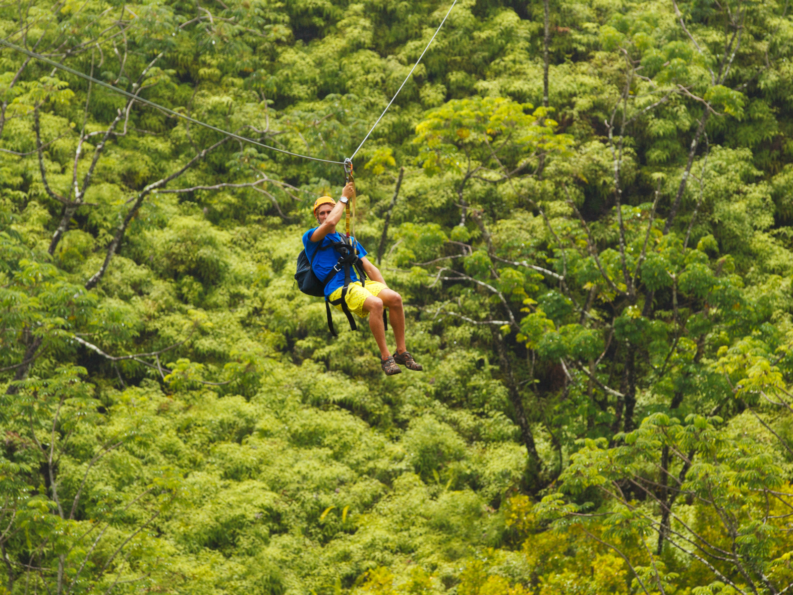 A man wearing a blue shirt ziplines over a lush tropical forest, this is one of the best things to do in Kauai
