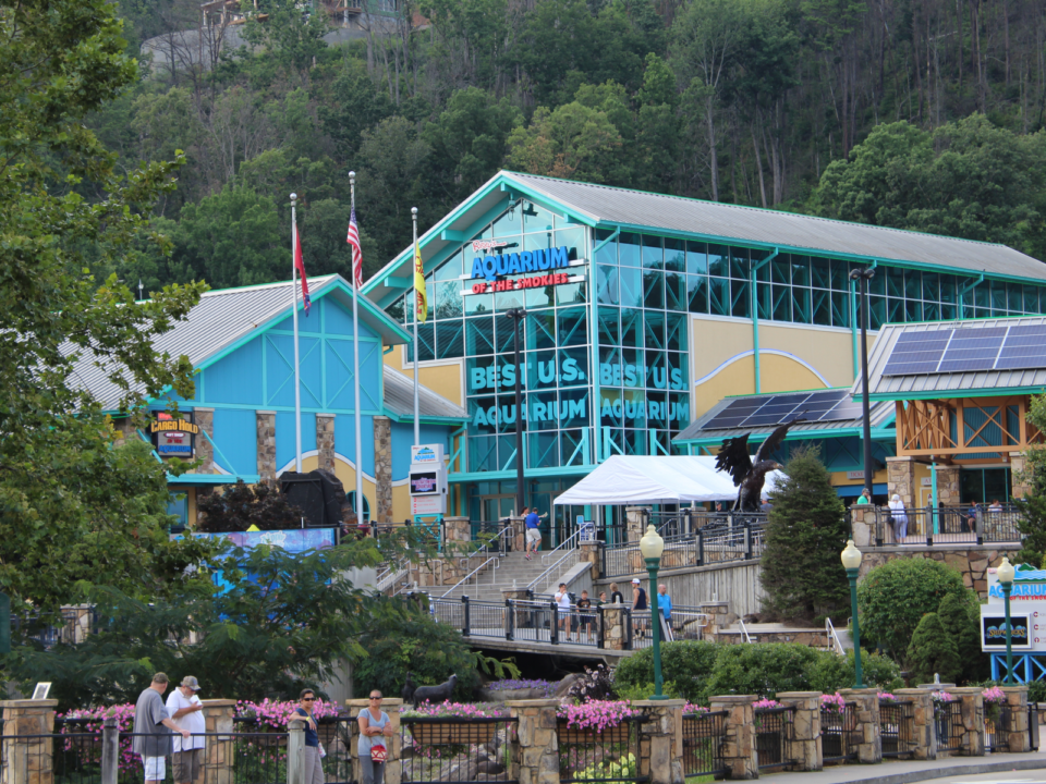 The 16 Best Aquariums in the US in 2023