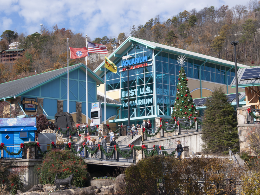 several people walking in front of one of the best things to do in gatlinburg, tennessee, ripley's aquarium of the smokies, with christmas tree and decoration