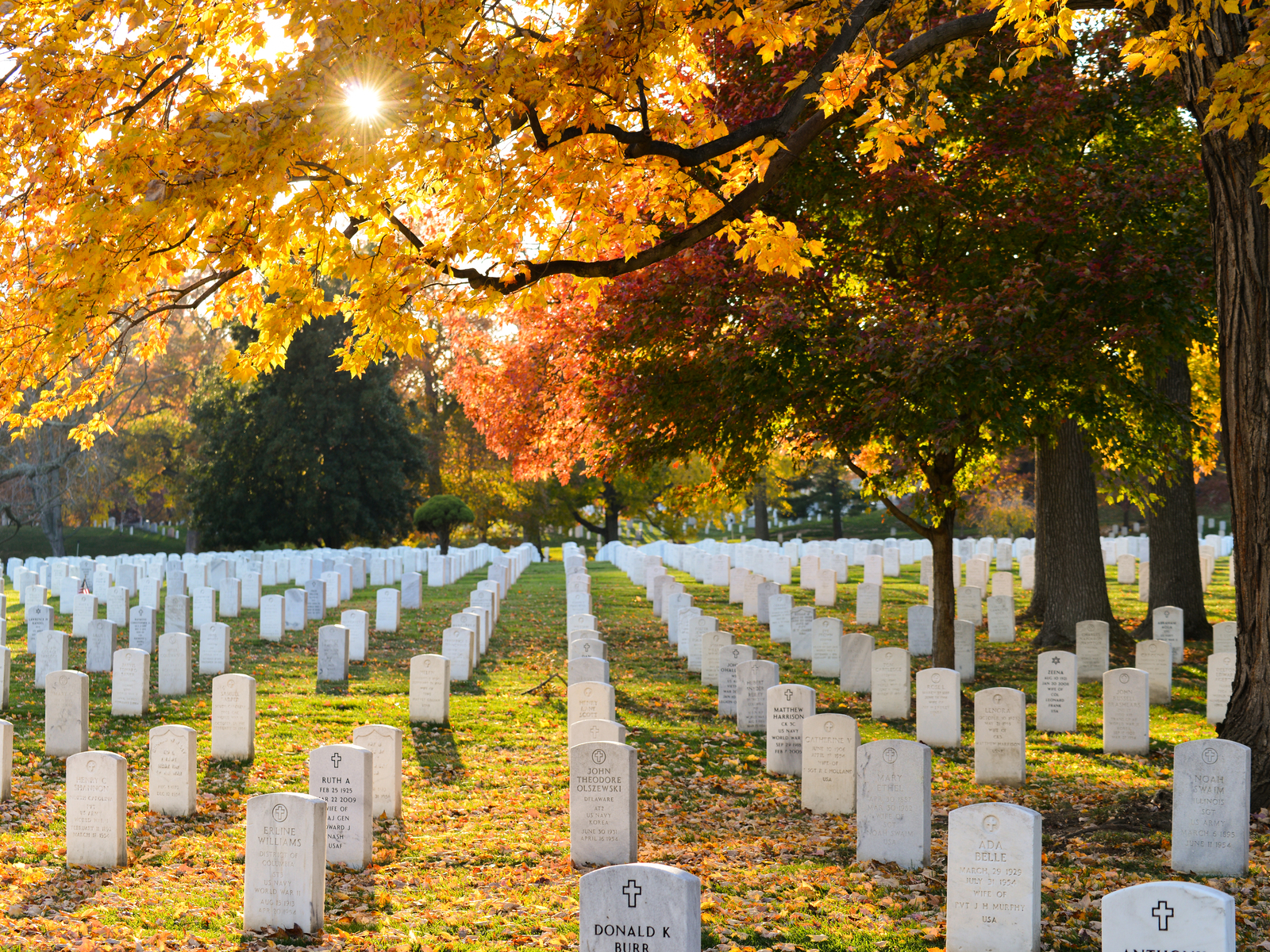 Visiting thousands of gravestones are one of the best things to do in Washington, D.C., Arlington National cemetery during autumn season