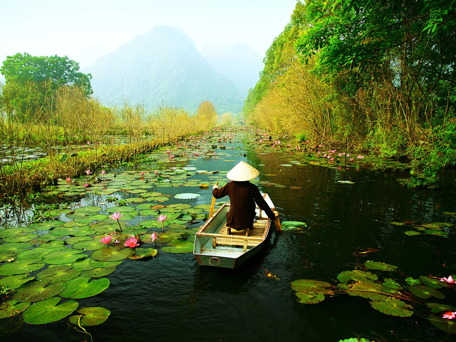 Rice farmer on a river with lily pads in Autumn, the cheapest time to visit Thailand