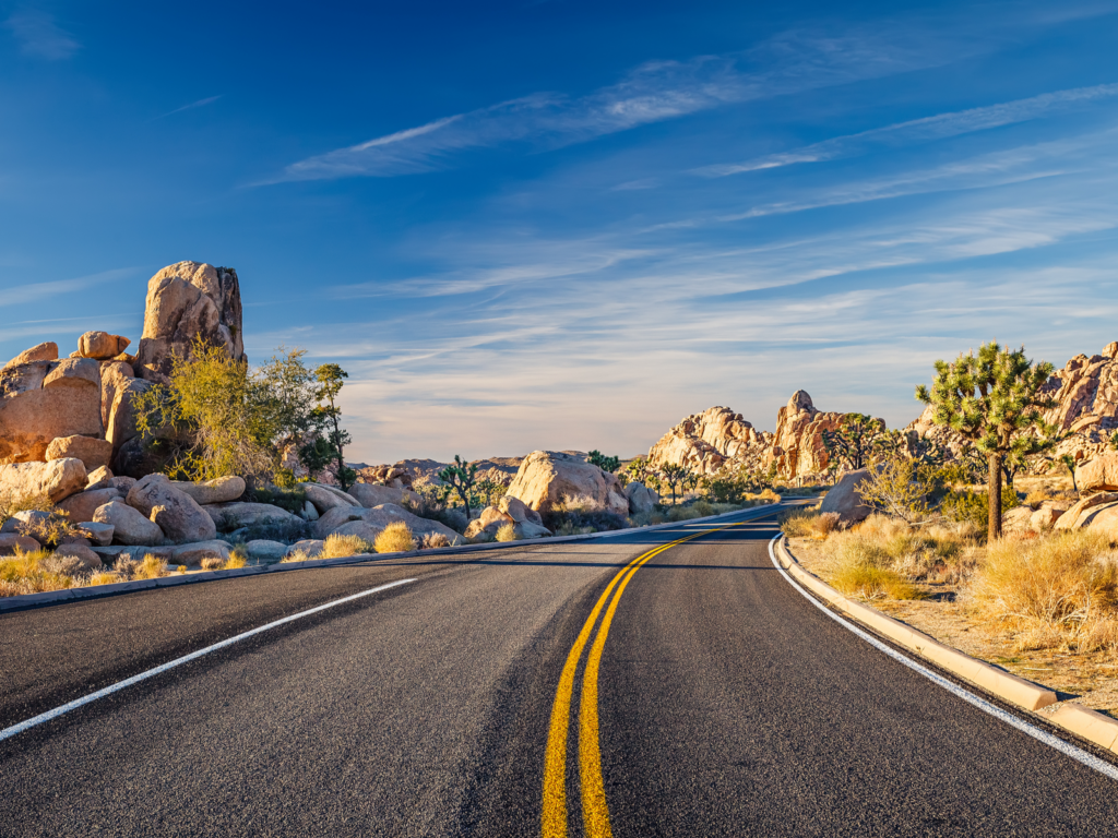 The Best Time to Visit Joshua Tree in 2022 Travellers 🧳