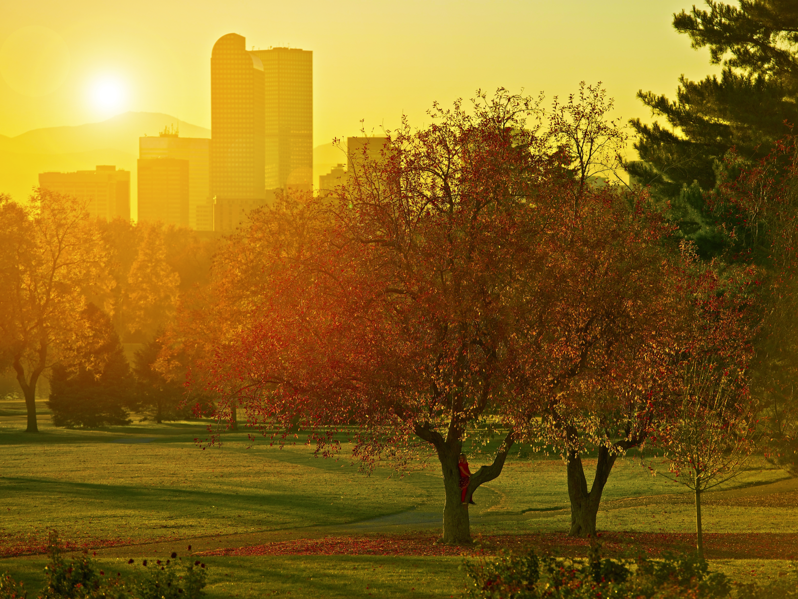 View of the downtown skyline with the sun blinding the camera pictured during the best time to visit Denver