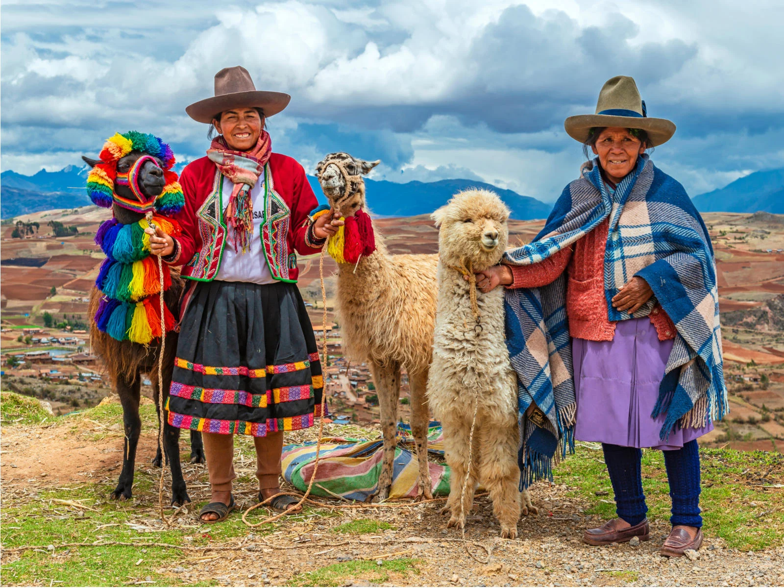 Nice view of two people standing next to llamas during the best time to visit Peru