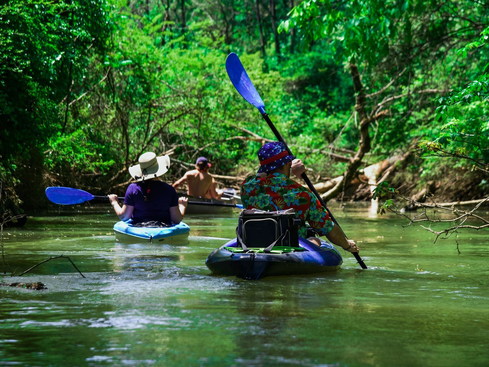 3 people paddling in one of the best things to do in Asheville, NC, the calm flowing French Broad River