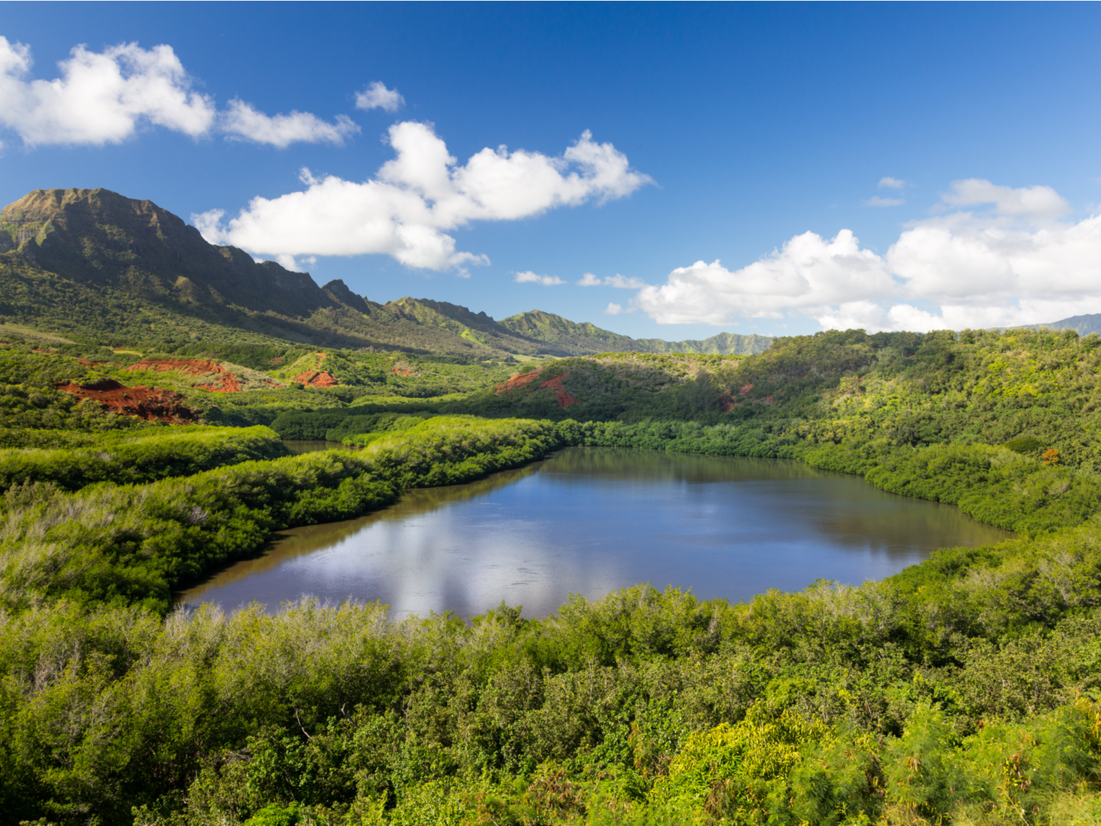Translucent water at the traditional Alekoko Pond is surrounded by flourishing greeneries, viewing this scenery is one of the best things to do in Kauai