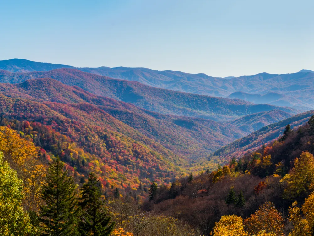 A scenic autumn view of mountains and wide forest, one of the best things to do in gatlinburg, tennessee, at the peak of smoky mountains national park