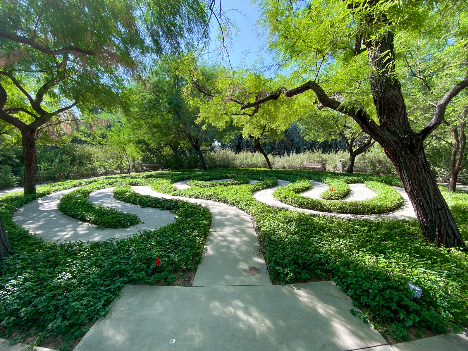 Beautiful spiral path landscape with plants and trees at Sunnylands Center and Garden, home to a variety of plants and wildlife, and one of the best things to do in Palm Springs