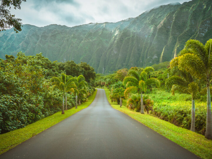 Ho'omaluhia Botanical Park featured as an image for a piece on the best time to visit Oahu