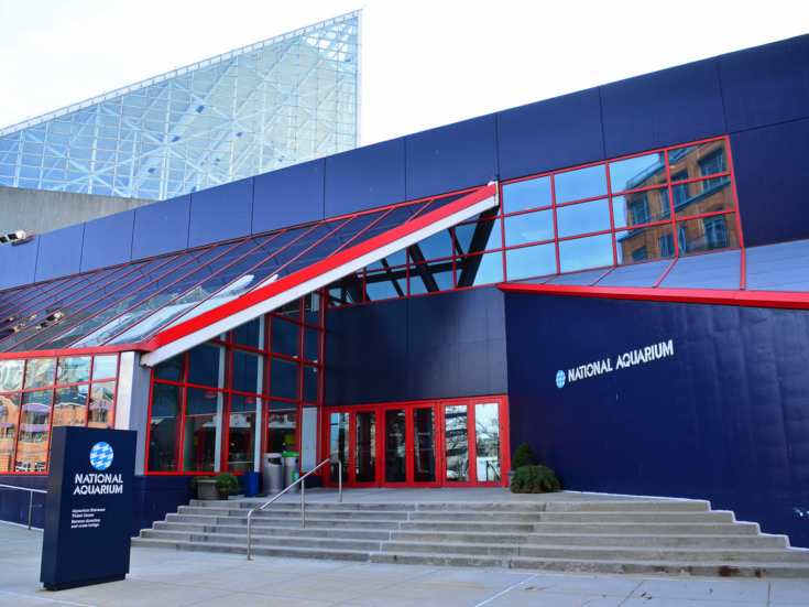 The 16 Best Aquariums in the US in 2023