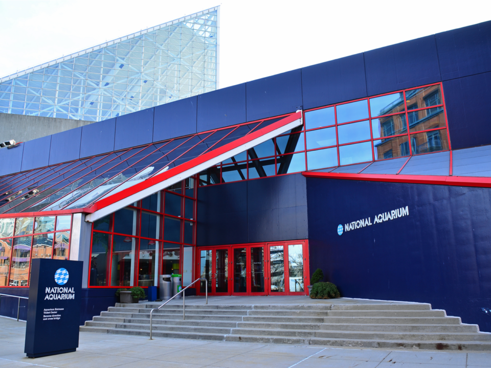 The 16 Best Aquariums in the US in 2023