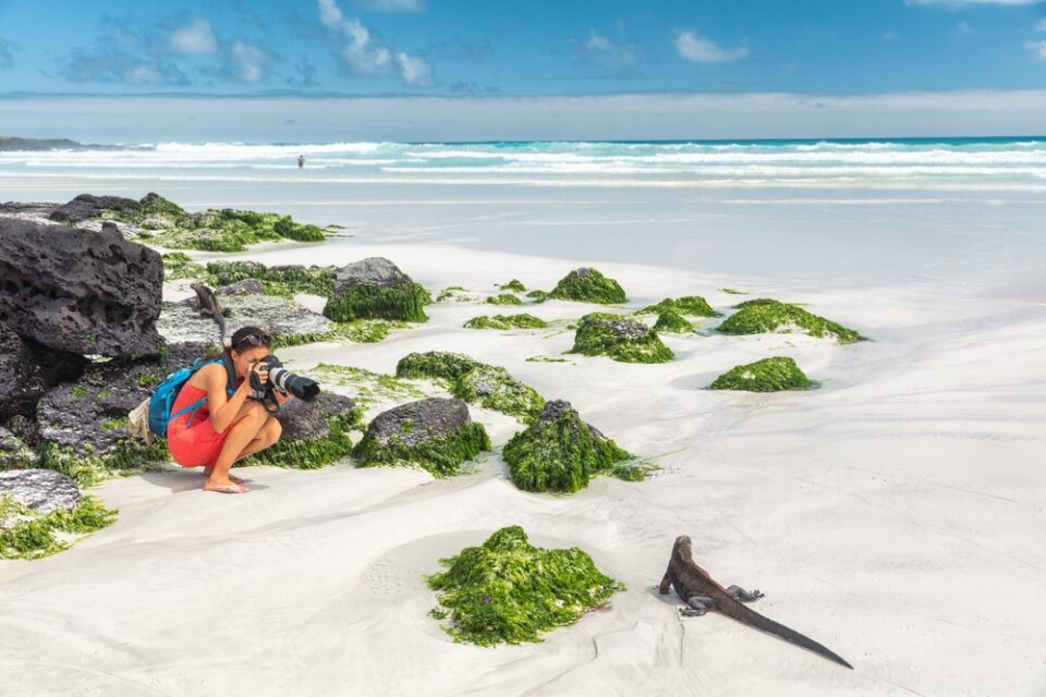 The Best Worst Times To Visit The Galapagos Islands In 2024   Shutterstock 2099453875 960x640 