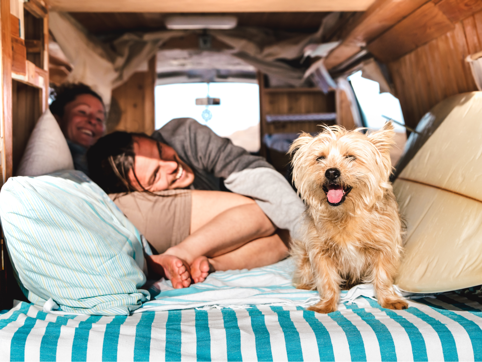 Hippie couple lying on the bed of their camper van with their dog lying next to them on the best travel dog bed