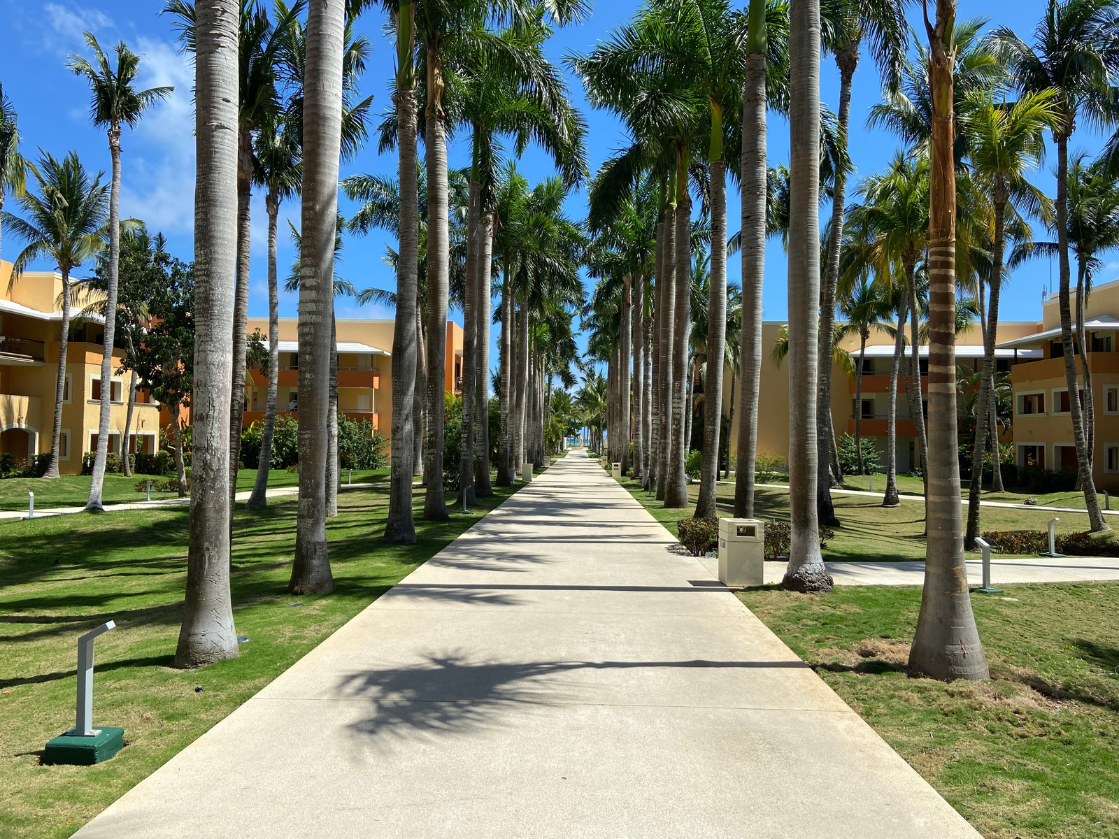 A perfectly straight footpath lined with palm trees at the grounds of Barceló Maya Beach Resort, considered as one of the best all-inclusive resorts in Mexico