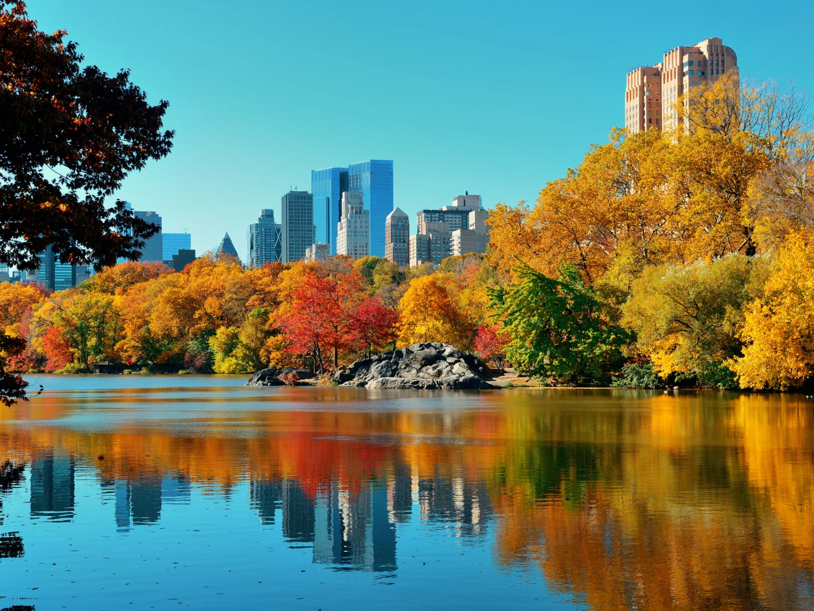 Central Park in autumn pictured with yellow and red trees during the cheapest time to visit New York City