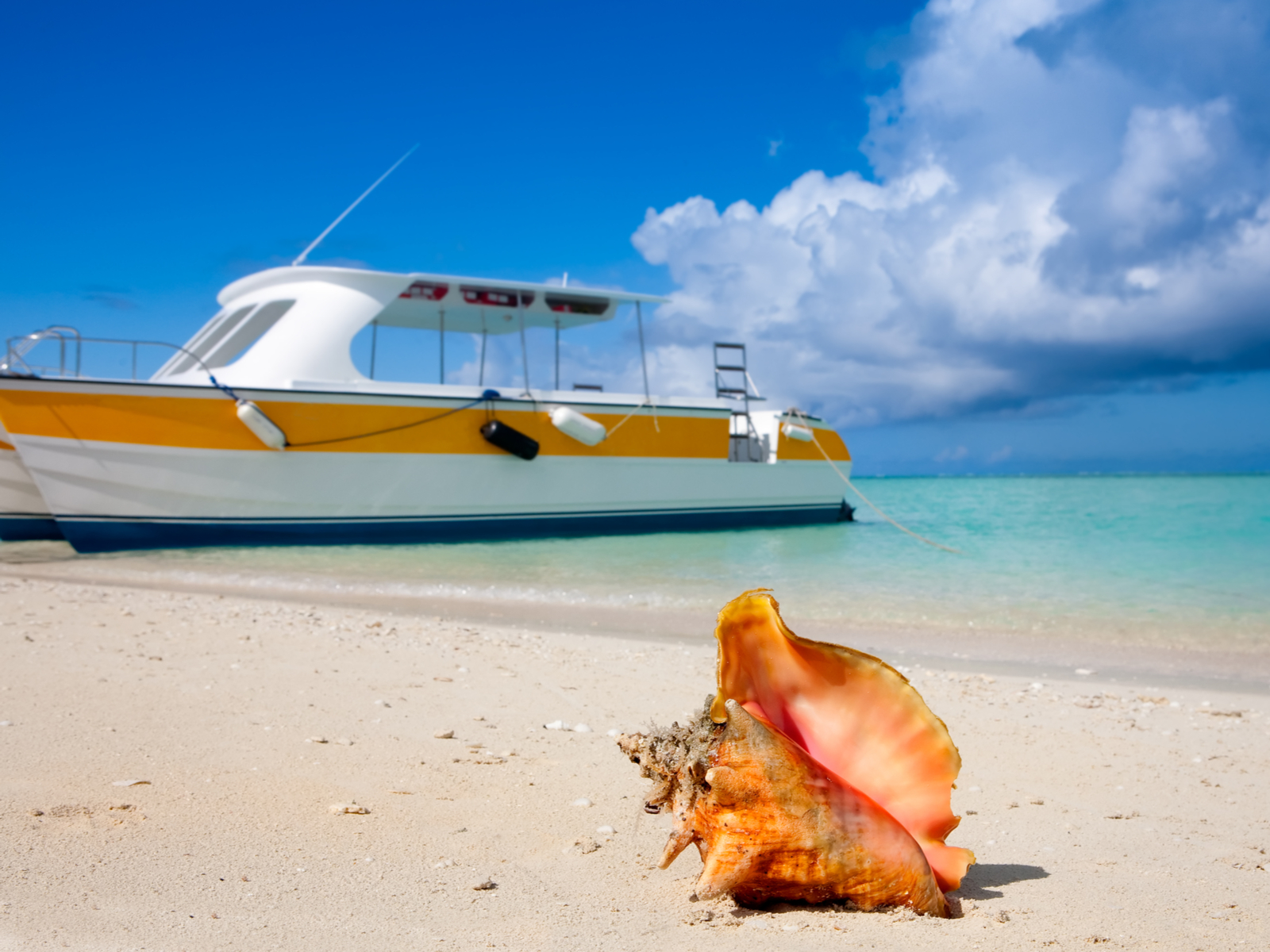 Image of a yellow and white ferry boat on the beach next to a Conch Shell during the best time to visit Turks and Caicos