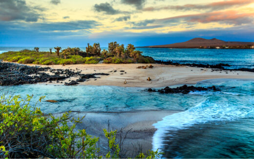 The Best Worst Times To Visit The Galapagos Islands In 2024   Shutterstock 263605307 520x325 