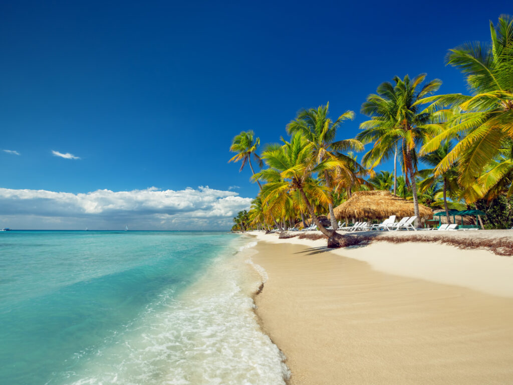 The Best Time to Visit Punta Cana in 2023 Travellers