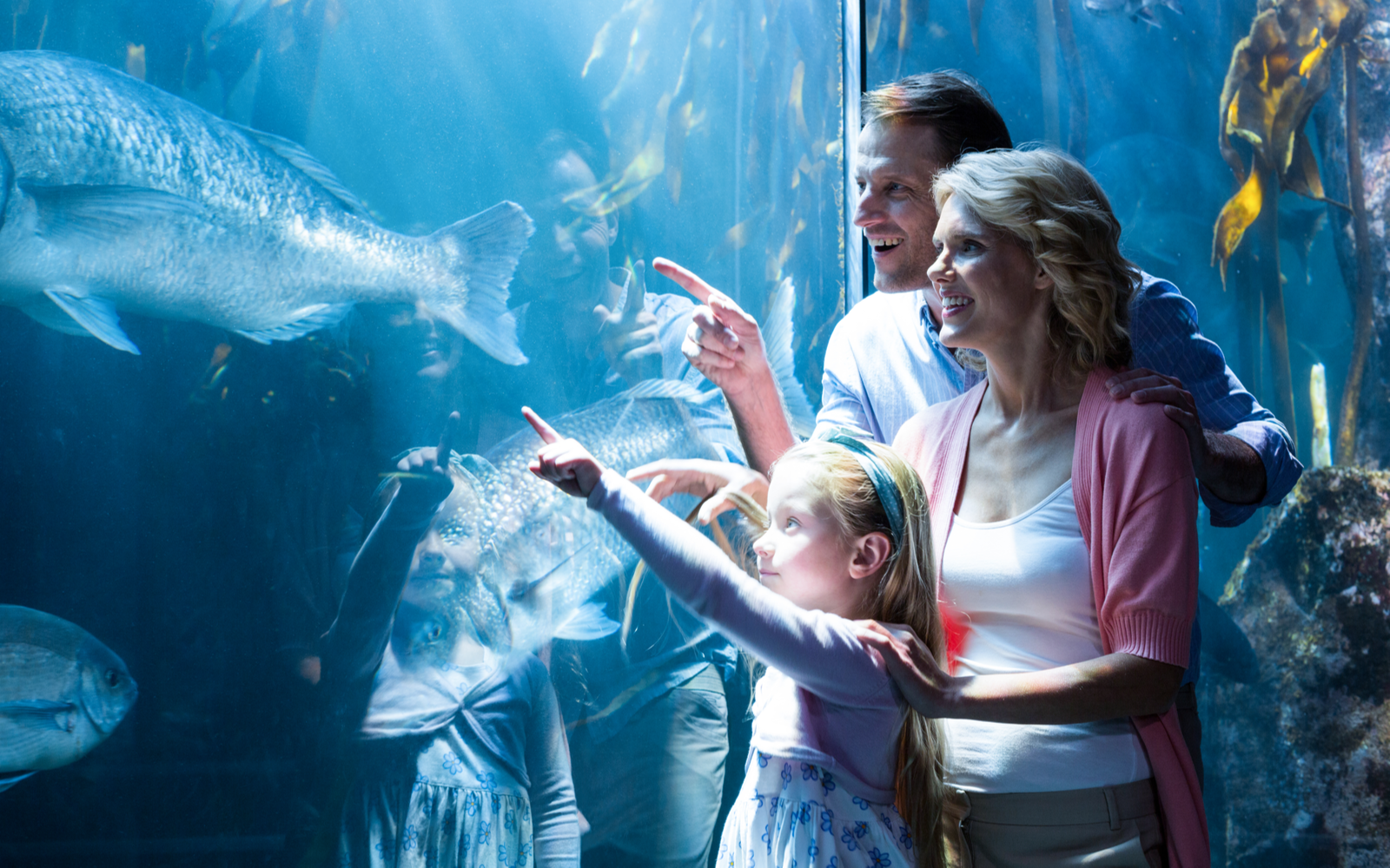 Family pointing at a fish in the tank at one of the best aquariums in the US