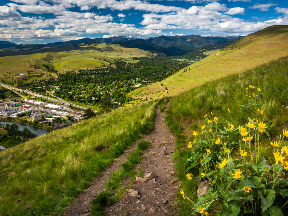 During the best time to visit Montana, a trail and flowers on Mount Sentinel, in Missoula is pictured