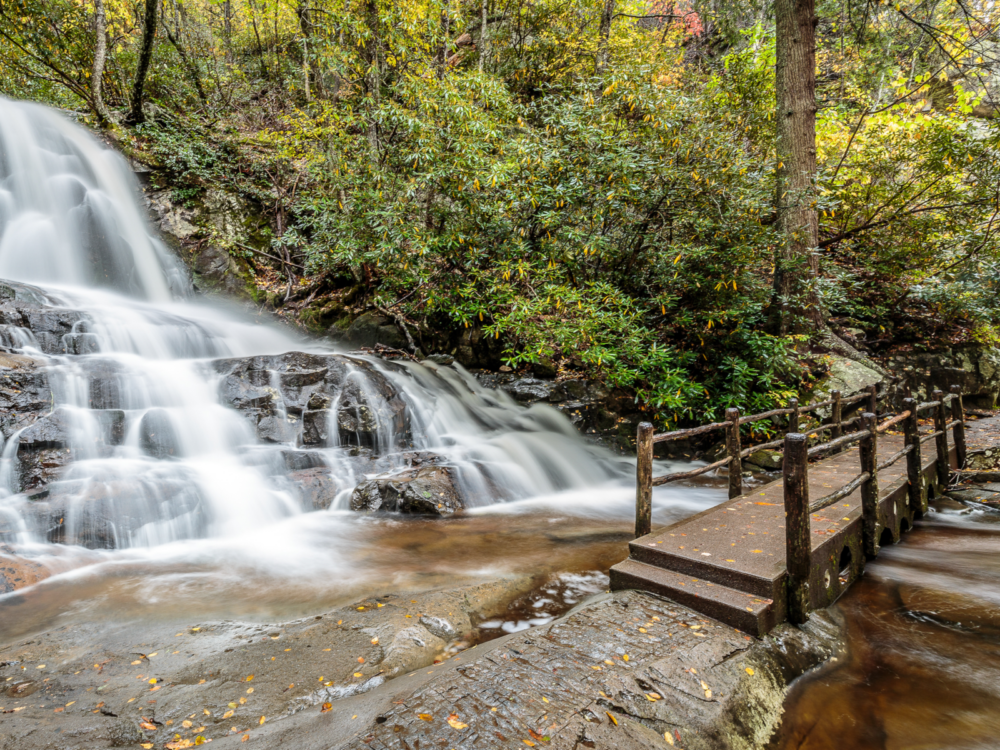 beside bushes and fallen leaves, a concrete foot bridge crossing a stream of water coming from a laurel falls which is one of the best things to do in gatlinburg, tennessee