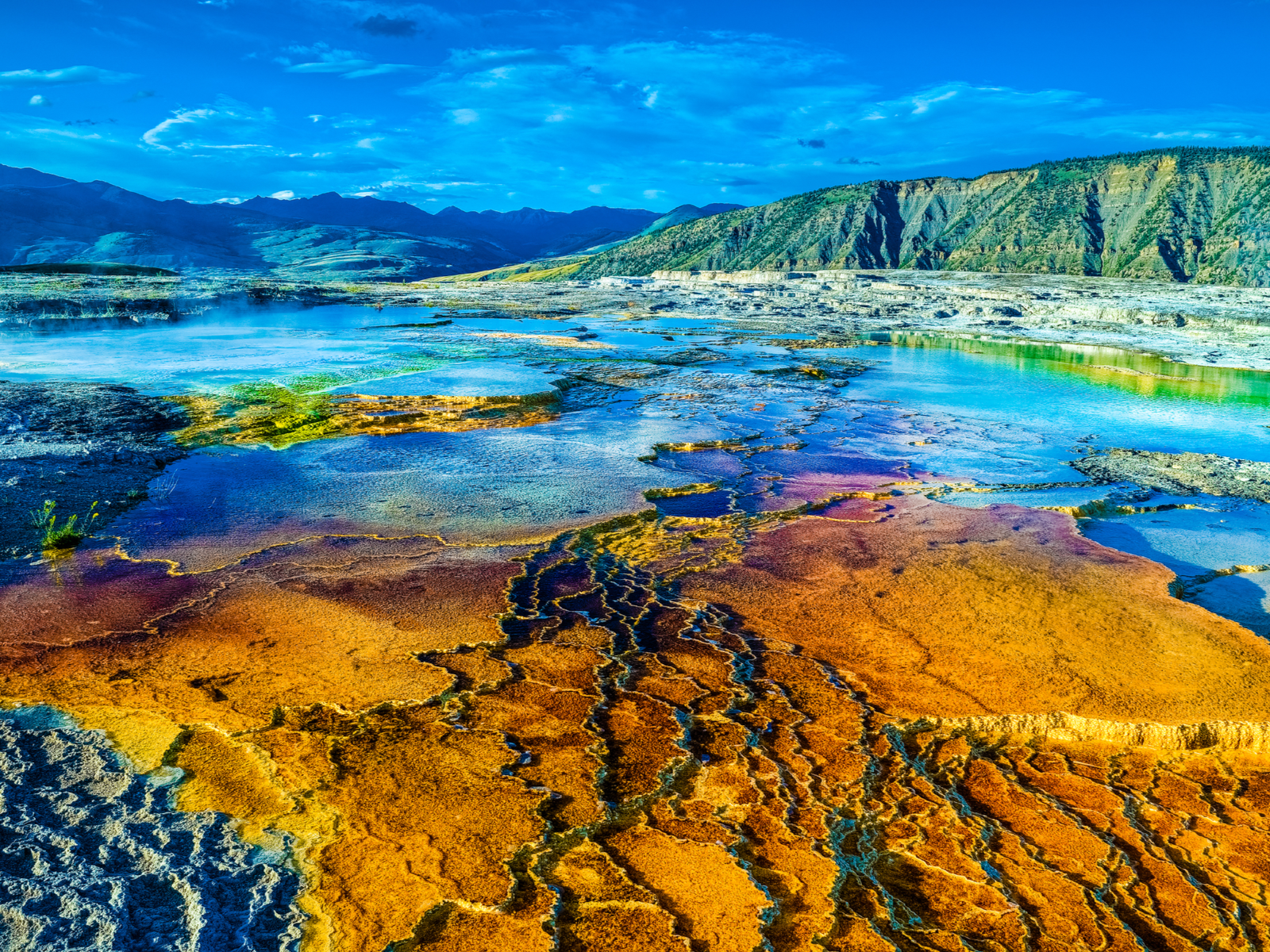 Mammoth Hot Springs pictured with gorgeous blue and orange water on a summer day