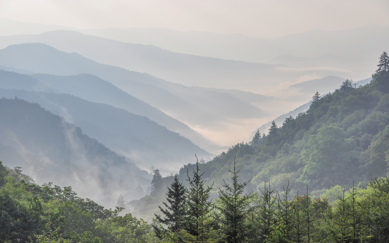 The Best Time to Visit the Smoky Mountains in 2022