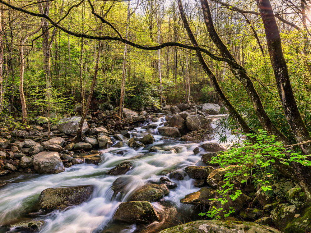 clear fresh flowing water from little pigeon river, the most peaceful attraction in the great smoky mountains national park and one of the best things to do in pigeon forge