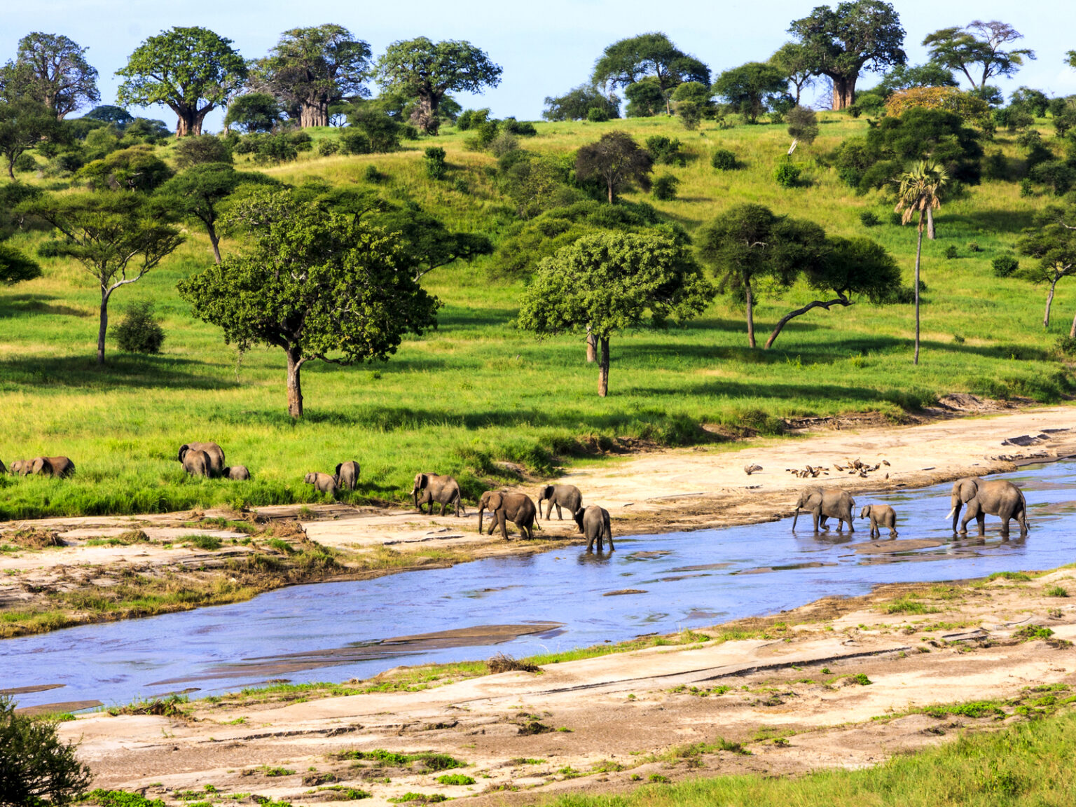 Is Tanzania Safe to Visit in 2024? Safety Concerns