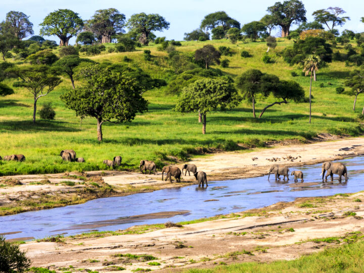 Is Tanzania Safe To Visit In 2024 Safety Concerns   Shutterstock 379974949 720x540 