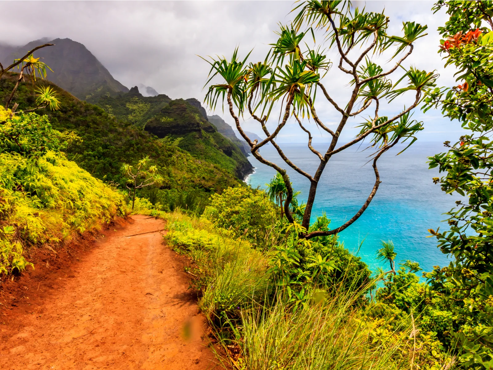 Red dirt path on the side of a hill in the Na Pali Coast for a piece on the best hotels in Kauai