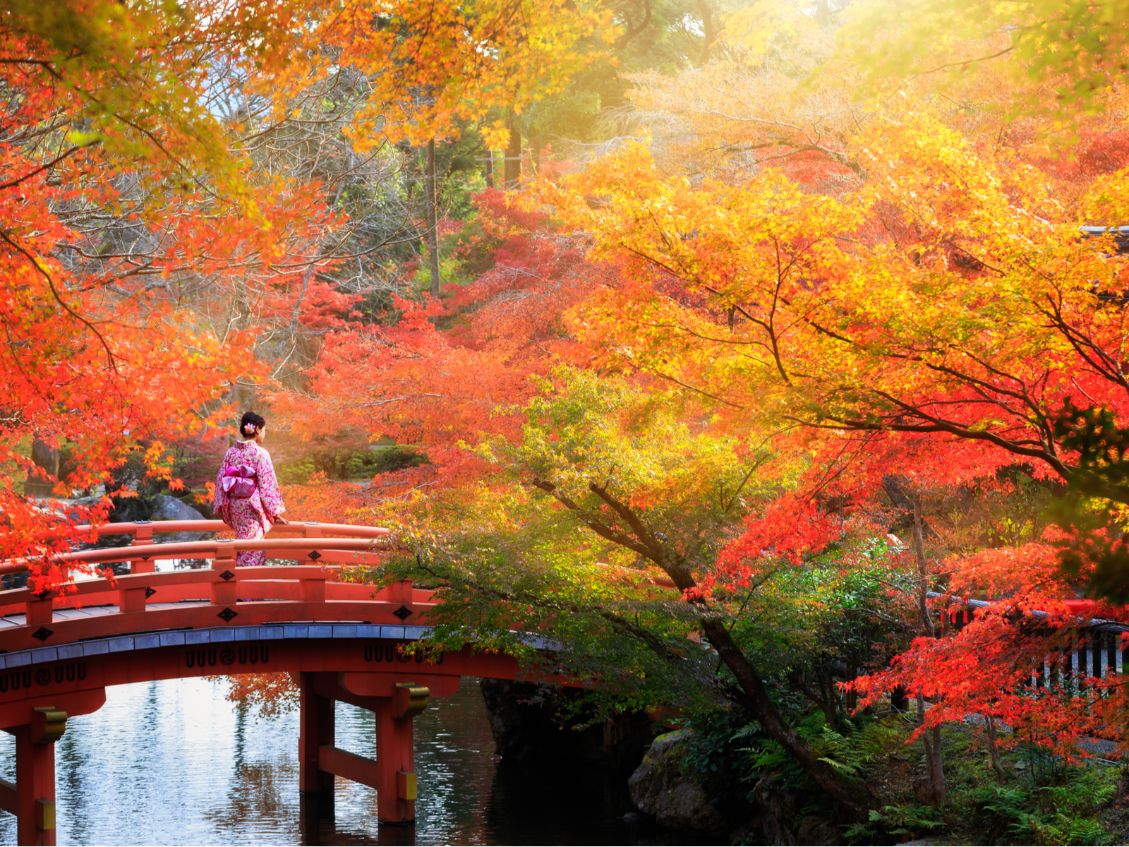 Gorgeous lady walking over a bridge in Autumn during the best time to visit Japan
