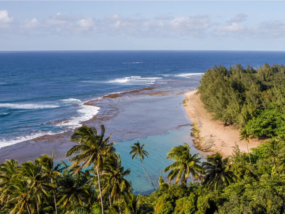 Thick layers of trees next to the narrow golden shore on Haena Beach Park in Hawaii, one of the best beaches in the US, on low-tide