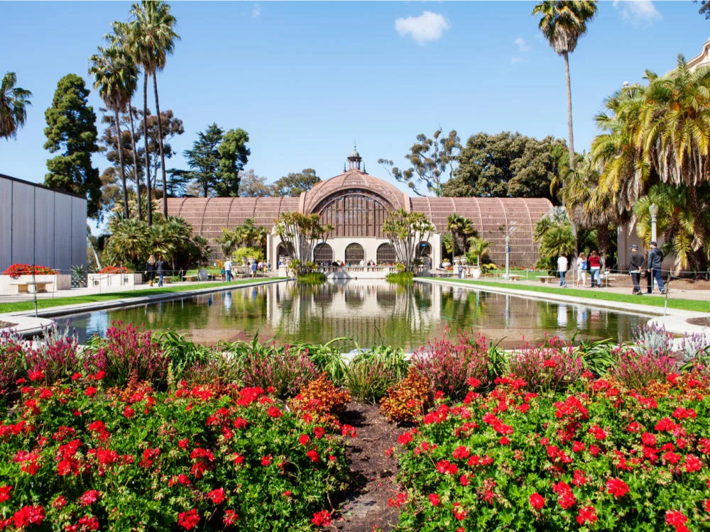 Tourists walking alongside the emerald pond of the Botanical Gardens in Balboa Park, considered one of the best things to do in California, with red blooming flowers and tall palm trees