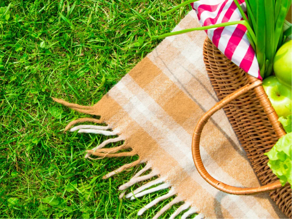 Grass below one of the best picnic blankets with fruit in a basket above it