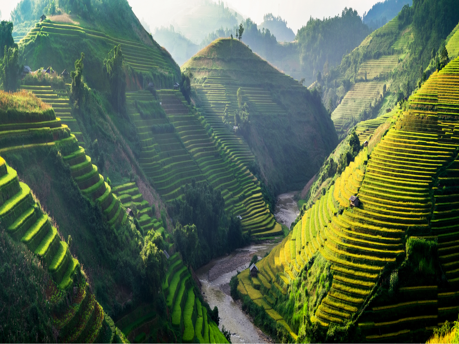 Sun light on terraces in rice fields with a river in the middle during the best time to go to Vietnam