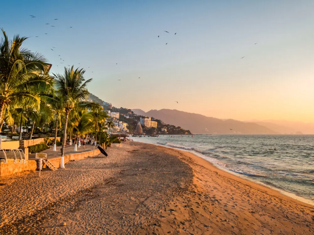 View of the beach at dusk with palm trees on either side during the best time to visit Puerto Vallarta