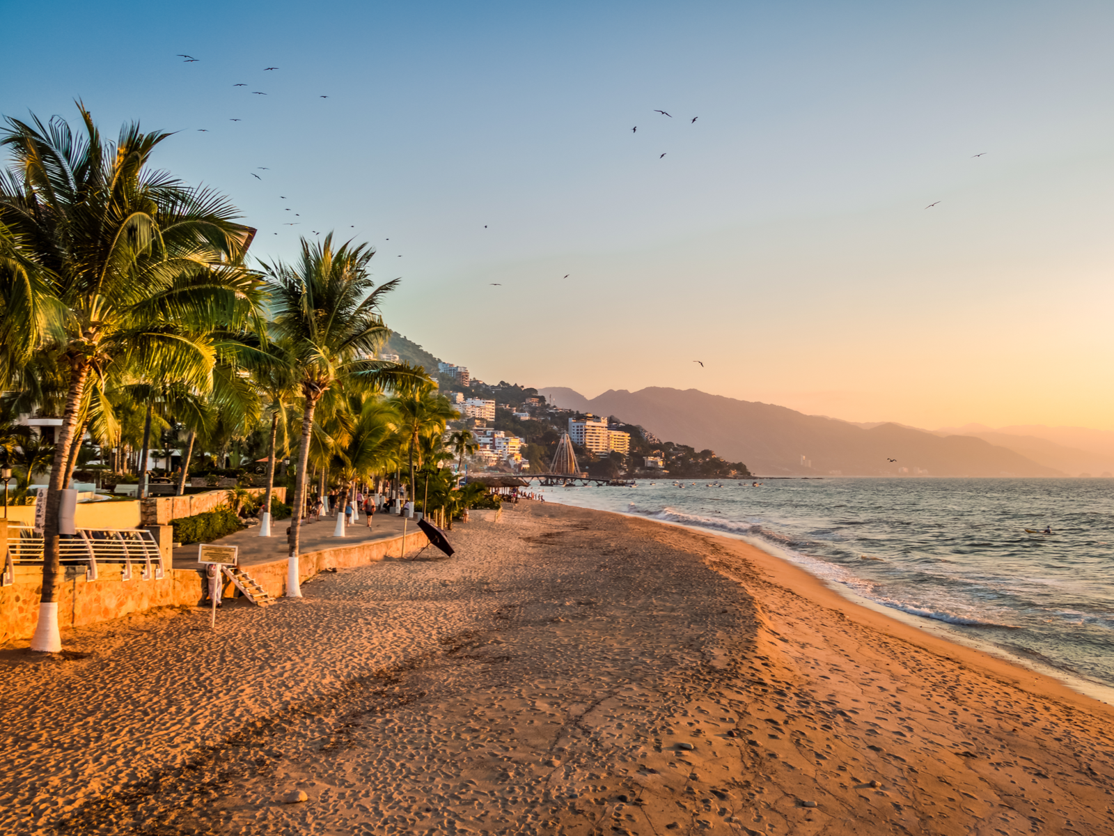 For a piece on Is Puerto Vallarta Safe, the Palm trees and the beach by the ocean pictured