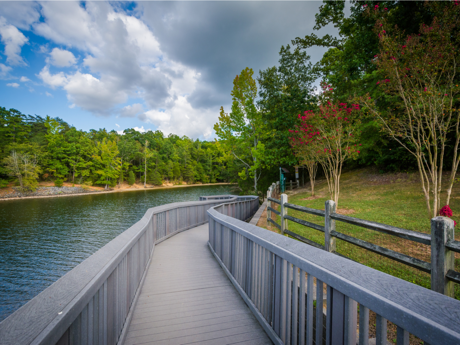 a wooden board walk beside a calm lake and trees in a cloudy day at mcdowell nature center and preserve, one of the best things to do in charlotte, nc