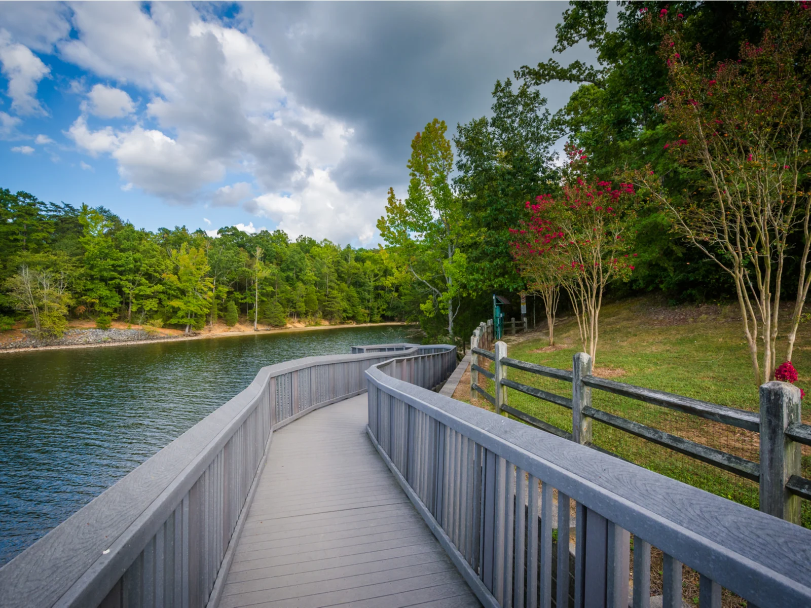 a wooden board walk beside a calm lake and trees in a cloudy day at mcdowell nature center and preserve, one of the best things to do in charlotte, nc