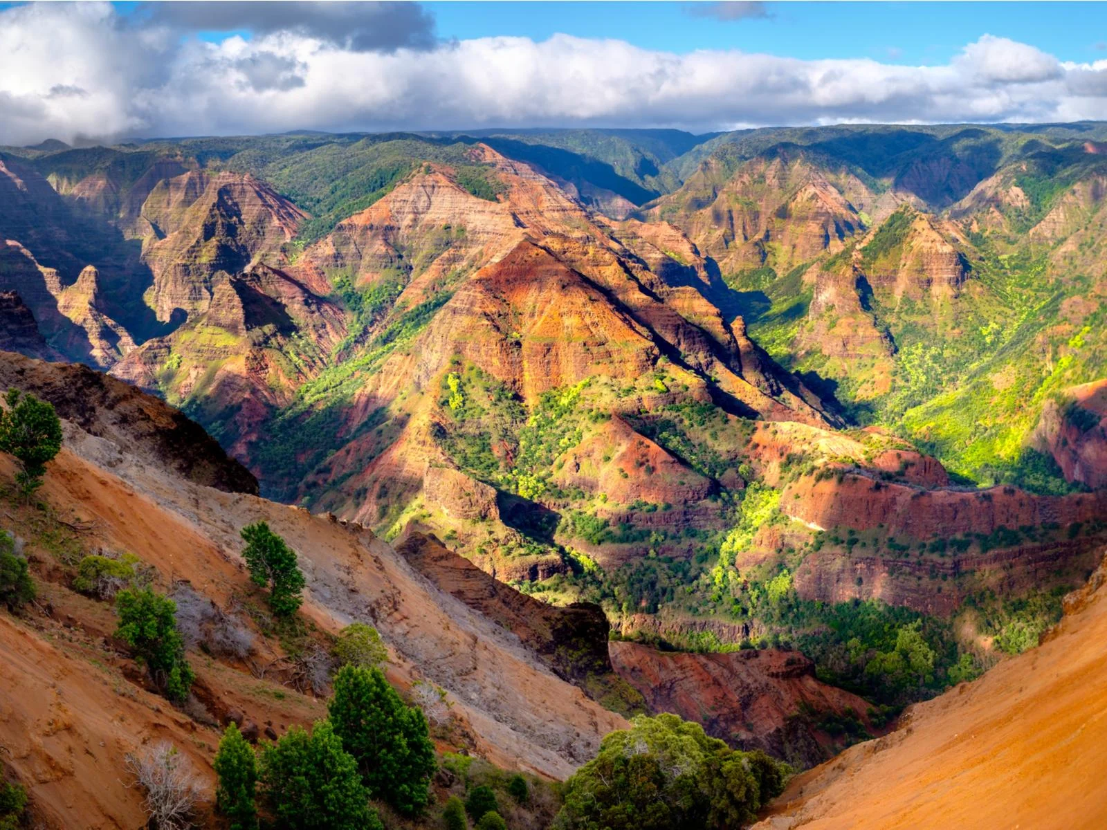 Visiting the Waimea Canyon's iconic landscape with patches of bushes is one of the best things to do in Kauai