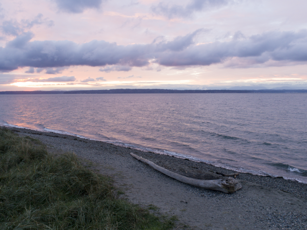 A small driftwood washed ashore at Golden Gardens Park in Seattle, a piece on the best beaches in the US, pictured nearing dusk