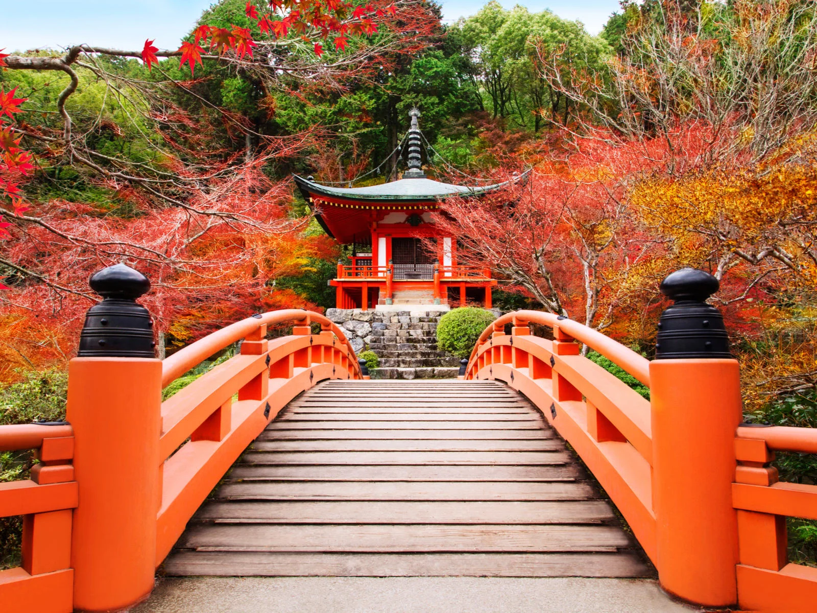 During the best time to visit Tokyo, a photo of the walkway to the Kyoto Daigoji temple