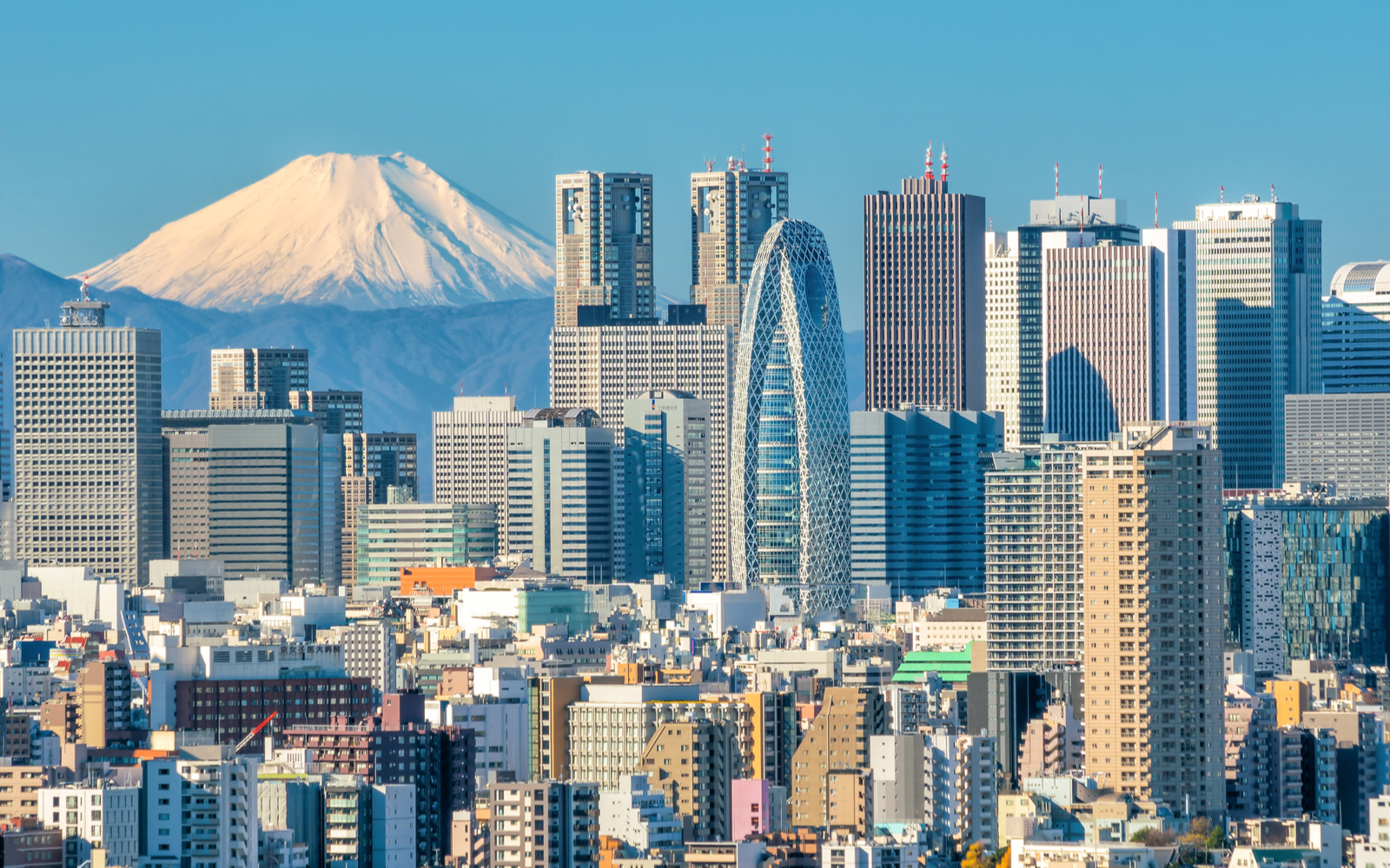 Gorgeous skyline view of Tokyo with Mount Fuji in the background on a clear Summer day